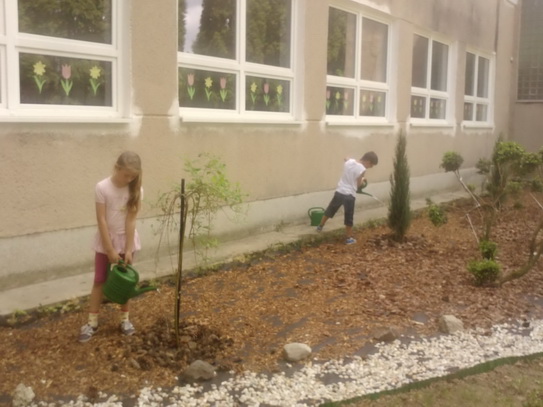 Starostlivosť o zeleň v okolí školy