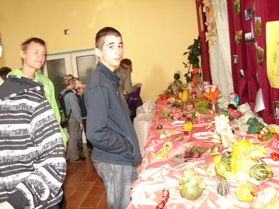 Výstava prác žiakov na miestnej výstave ovocia<br> a zeleniny v Dvoriankach